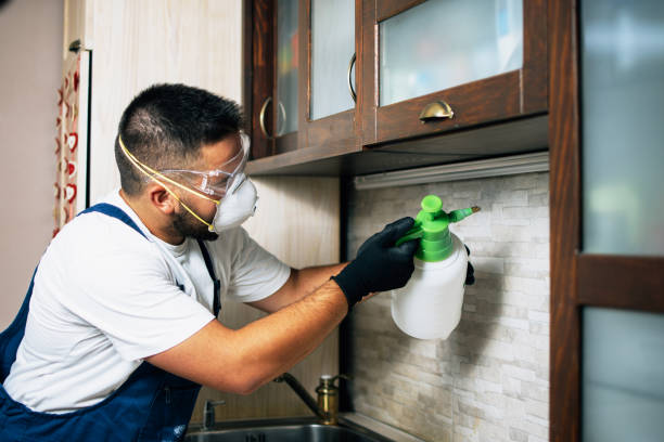 Best Fumigation Services  in Lmer Heights, PA